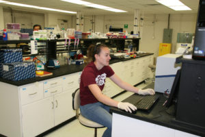 Amanda Hulse, a Texas A&M University doctoral student, works in the lab for Dr. David Stelly, Texas A&M AgriLife Research cotton breeder. (Texas A&M AgriLife Research photo)