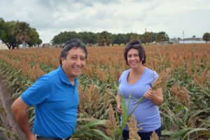 Dr. Raul Villanueva, left, and Danielle Sekula-Ortiz will be among those hosting the AgriLife Extension field day on sugarcane aphids Oct. 28 in Weslaco. (AgriLife Communications photo by Rod Santa Ana)