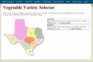 No matter how you look at it, the online Texas Vegetable Variety Selector will help growers choose the best veggies to grow in a particular locale, according to Dr. Joe Masabni, Texas A&M AgriLife Extension Service horticulturist in College Station. Find the selector at http://aggie-horticulture.tamu.edu/publications/veg_variety/. (Photo courtesy of Texas A&M AgriLife Extension Service)