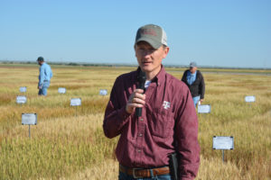 Dr. Clark Neely, Texas A&M AgriLife Extension Service state small grains and oilseeds specialist in College Station, discusses wheat variety trials at the Texas A&M AgriLife Research station near Chillicothe in 2014. (Texas A&M AgriLife Communications photo by Kay Ledbetter)