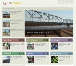 AgriLife Today and its related social media links can be found at http://today.agrilife.org (Texas A&M AgriLife photo)
