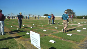 The National Turfgrass Evaluation Program was explained during the annual turfgrass field day at College Station by Dr. Casey Reynolds, a Texas A&M AgriLife Extension Service turfgrass specialist, (Texas A&M AgriLife Communications photo by Kay Ledbetter) 