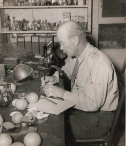 Dr. George H. Godfrey, the first plant pathologist in the Rio Grande Valley is shown in the early 1950s working at the then-Rio Grande Valley Experiment Station, now the Texas A&M AgriLife Research and Extension Center at Weslaco. (Photo courtesy of Rod Santa Ana)