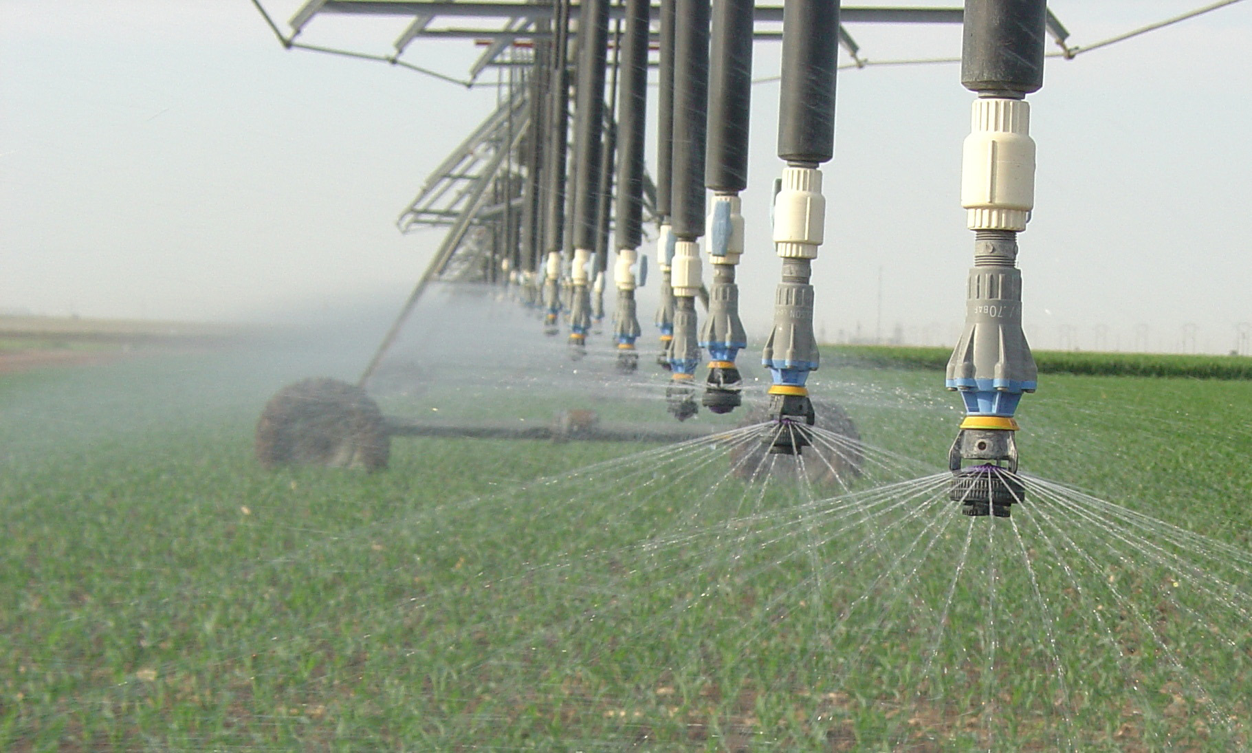 Increasing nitrate concentrations in the Rolling Plains need continued monitoring and accounting for when irrigating, according to two Texas AgriLife Research scientists. (Texas AgriLife Research photo by Kay Ledbetter)