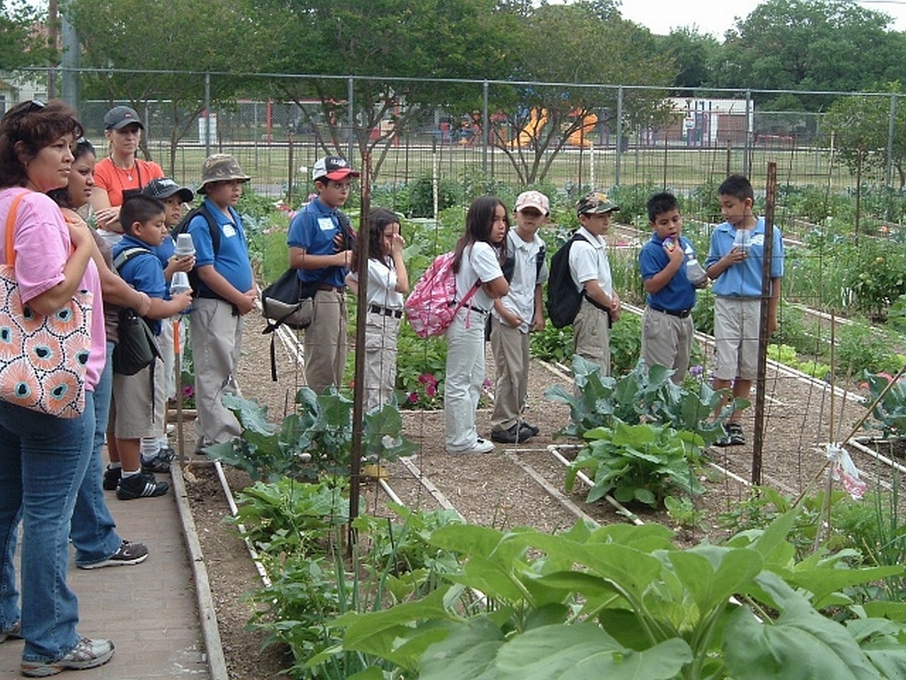 Fall Children S Vegetable Garden Program In San Antonio Accepting