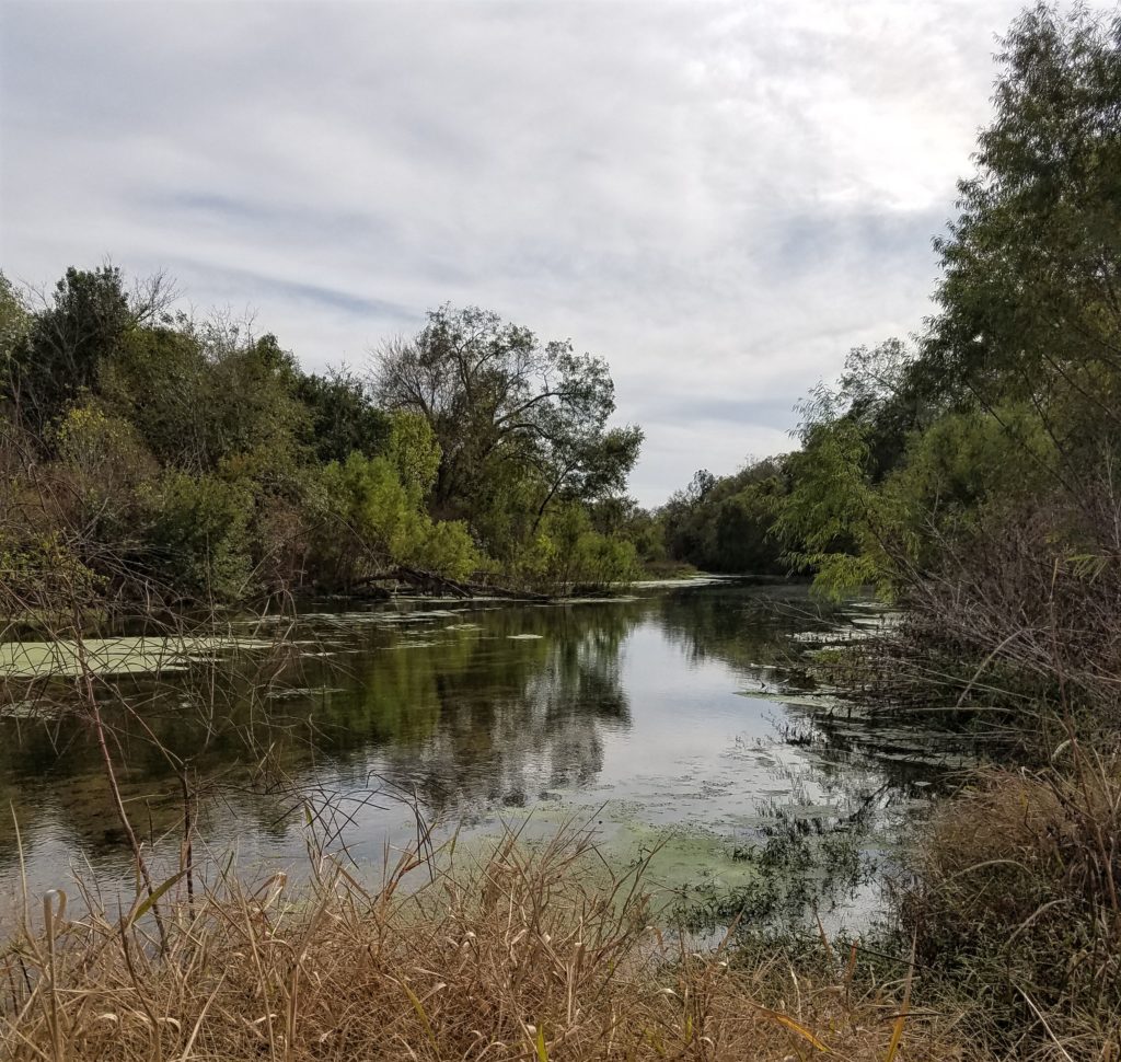institute-to-hold-jan-18-meeting-on-improving-cibolo-creek-water